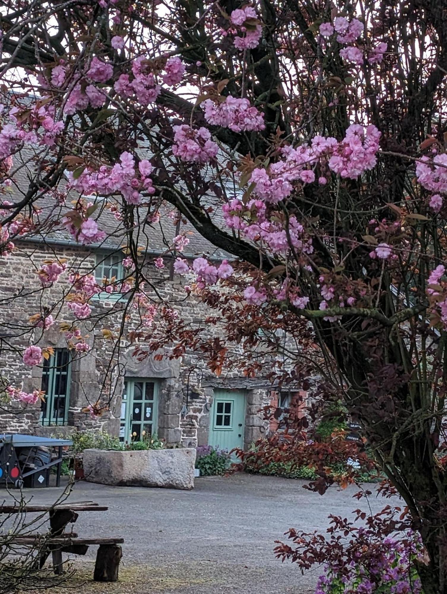 Ferme De La Gortiere Bed & Breakfast Le Teilleul Exterior photo